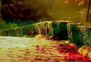 算力狂飙！AI+医疗引爆未来健康新革命