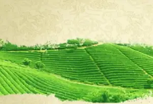 汽车早报：11月15日，最新动态抢先看