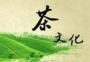 汽车早报：11月24日，新鲜资讯抢先看