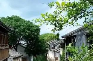 英伟达财报引爆华尔街，目标价飙升至320美元！