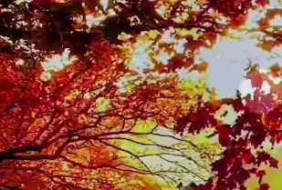 传奇再现！马云与十八罗汉创业初心小屋入驻阿里园区