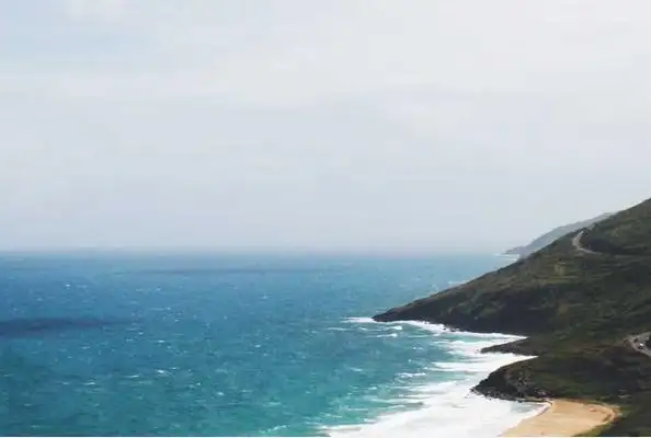 热带金果闪耀中国：2024年热带作物总产值破2800亿元，科技赋能撬动绿色增长新引擎