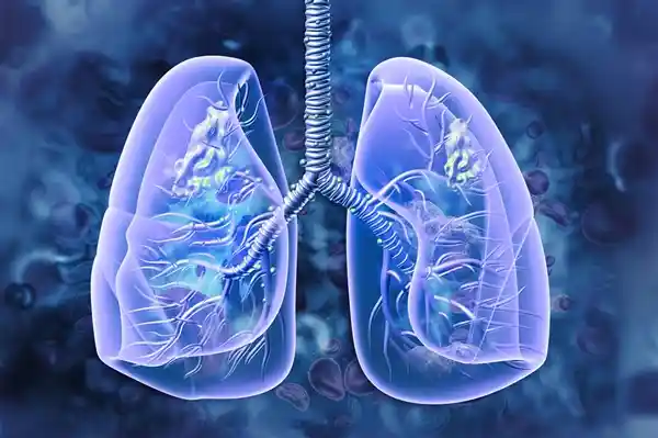 秋冬季呼吸道高发 老年人必备疫苗三件套攻略