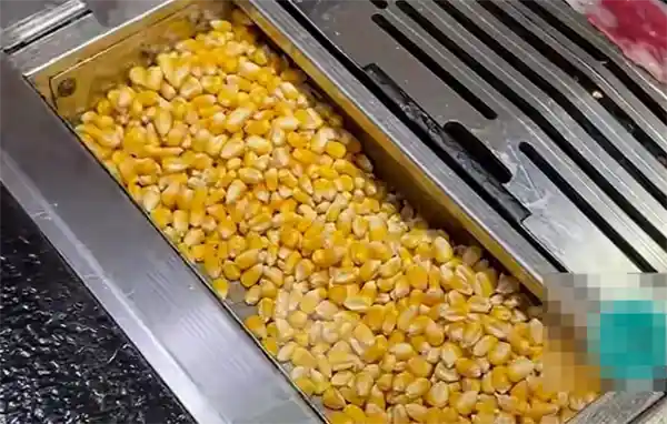 玉米粒当燃料引争议 专家：粮食安全不容忽视