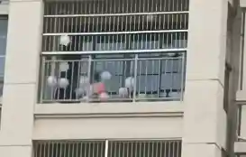 男子脑洞大开！垃圾袋变身防风神器硬刚台风，自称门窗守护神