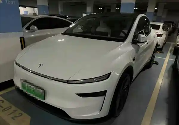 陈震：特斯拉FSD成期货，期待遥遥无期