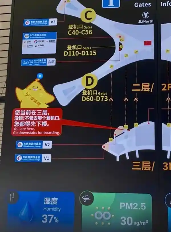 大兴机场儿化音标语成网红 网友：听出家乡味
