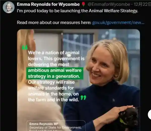 英国禁煮活龙虾引争议：人道处理成本高，餐饮业叫苦连天