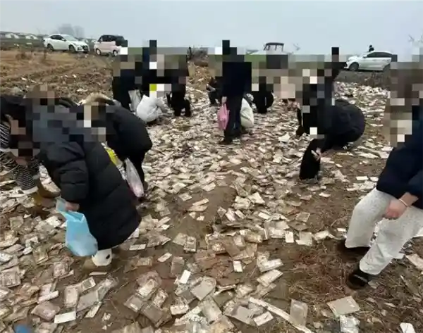 空地惊现50个未拆封全新手机壳，神秘来源引热议