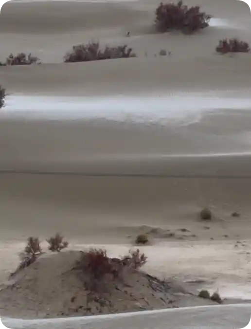 塔克拉玛干惊现雪景！沙漠一夜变身冰雪画卷
