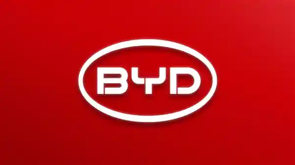 王传福：比亚迪宁受委屈 不愿欺人