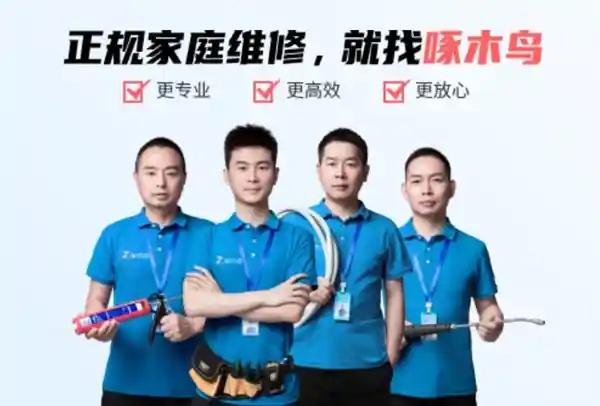 315点名后啄木鸟深夜维修乱象？事件真相曝光！