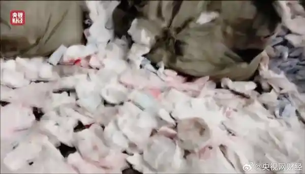 主播神秘微笑引发关注，自由点惊现突然下播！