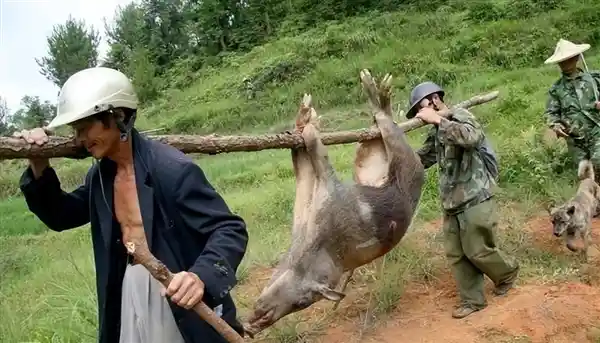 飞机机翼内隐秘的百吨之谜：为何如此惊人的重量要分布在这里？