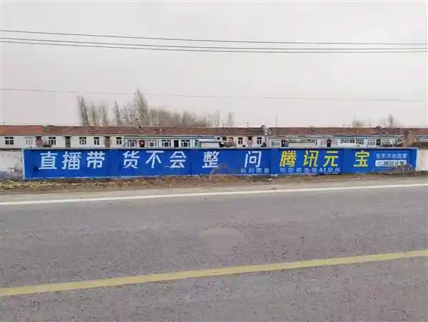 腾讯元宝直播助力乡村振兴：母猪产后护理与直播带货同步进行