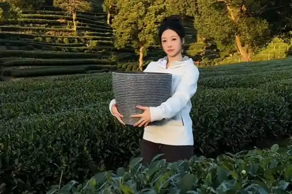 抖音账号重生记：吴柳芳从600万粉丝清零到4.4万的新起点！