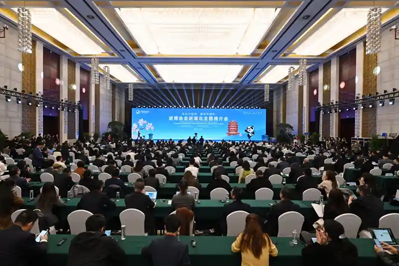 进博会赋能湖北，支点撬动全球链接——经济新脉搏
