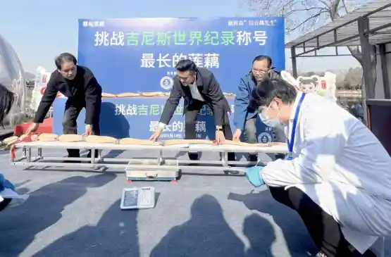 惊现！武汉三米巨藕问鼎世界之最，永久标本见证自然奇迹