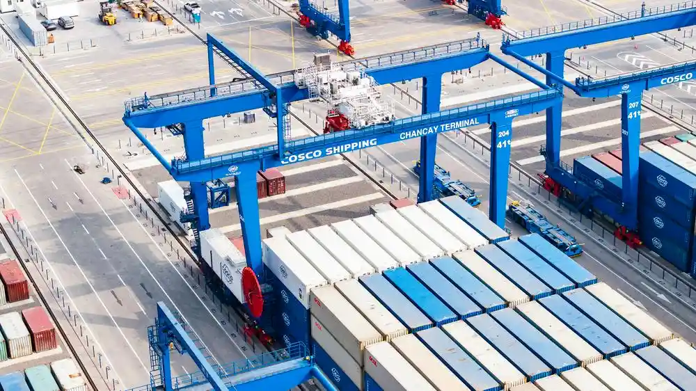 中远海控全年净利润飙升2倍！辉煌业绩叠加慷慨分红，投资者共享荣耀时刻