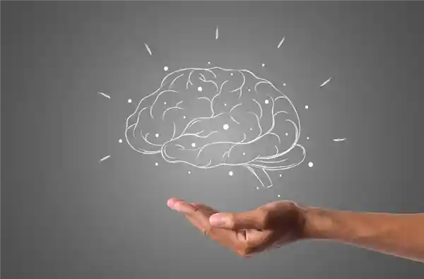 《注意力的退化：当代人类智力下滑的警示》