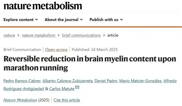 《跑马拉松必看！研究揭秘：大脑饥不择食，过度消耗竟自噬？》