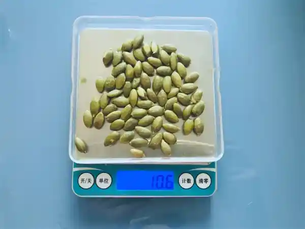 《每天一小把南瓜籽，竟藏着这么多惊人好处！》