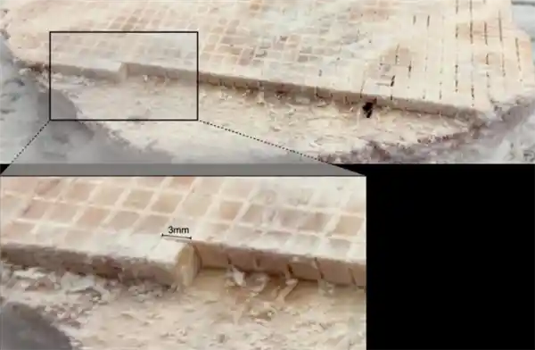 《绘制人脑能量密码：揭开阿尔茨海默症神秘面纱》