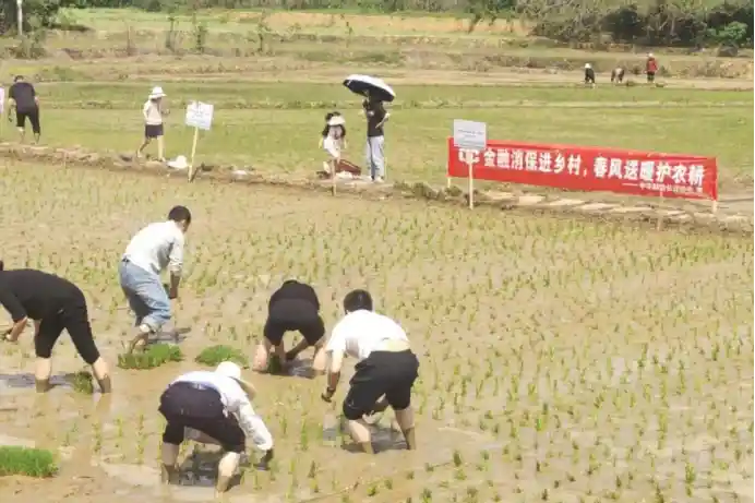中华财险多管齐下，为春耕备耕保驾护航，助力农业强国梦起航