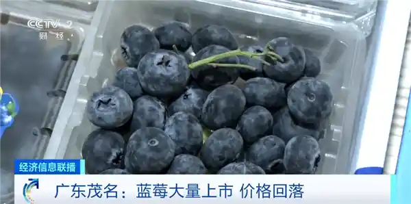 蓝莓降价狂欢！每天吃一盒真能让你的皮肤逆袭变白？