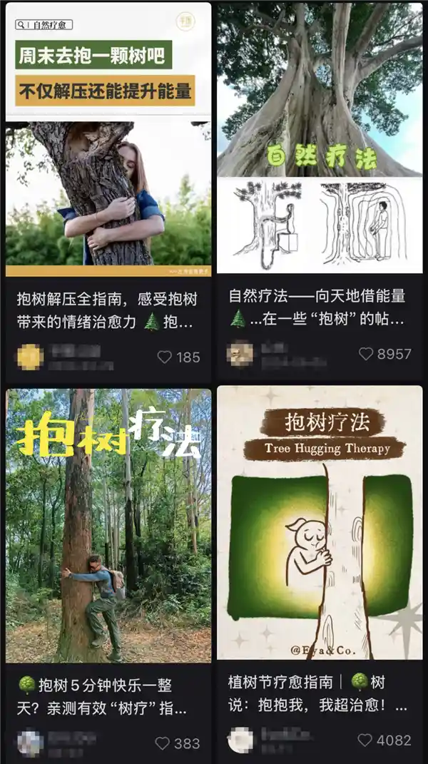 《告别内耗的秘密武器，这个方法竟被忽略了这么久！》