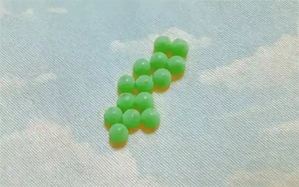 臭屁虫衣服上产卵，女子穿后皮肤过敏！专家警告：汁液有毒，切勿触碰