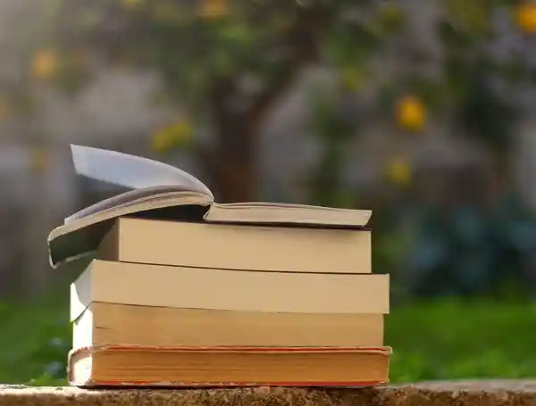 《朱雀玄武的隐秘记忆：当玄学遇上年代遗忘症》