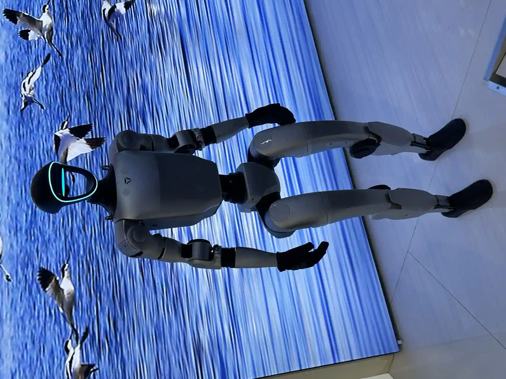 AI智能体各显神通，人形机器人峰会抢镜秀科技新高度