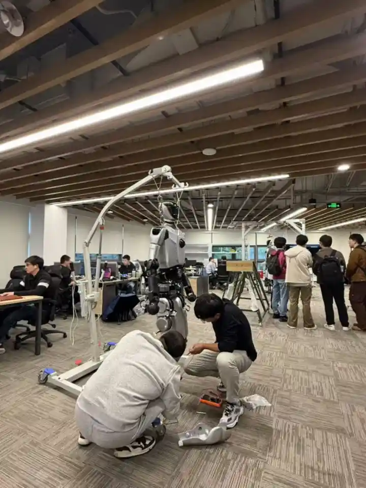 解码张江：30家科创企业200天深度调研，揭秘中国式创新基因