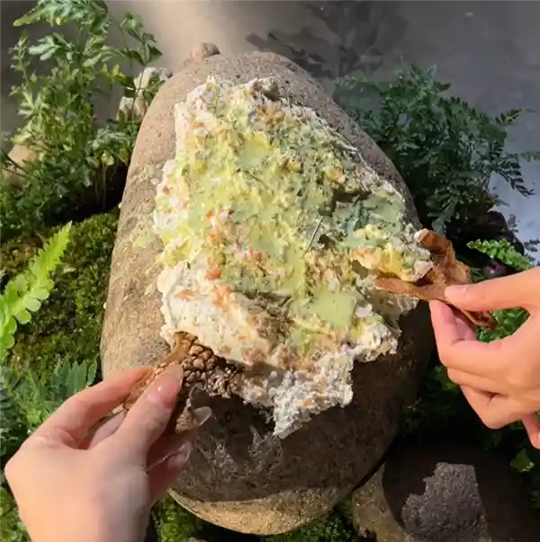 《人均四千竟吃出大象粪便？网红餐厅体验直呼离谱到想退款》