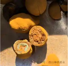 《健民大鹏独家垄断落幕，新势力豪言：我们要夺下体培牛黄市场七成分额！》