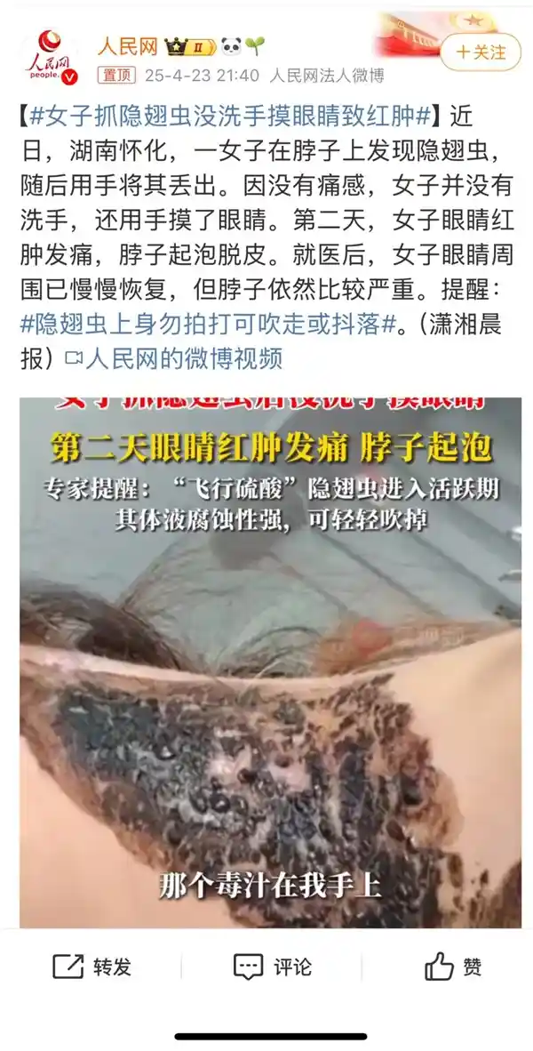 《小心！近期这种虫子很猖獗，拍打可能会导致毁容》