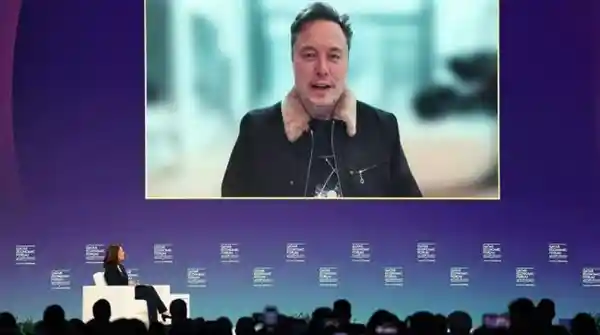 马斯克誓言五年内坚守特斯拉掌门人：除非生命终结