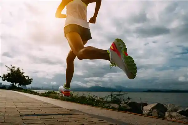 震惊！减重专家揭露9大减肥谎言，90%的人都被骗了