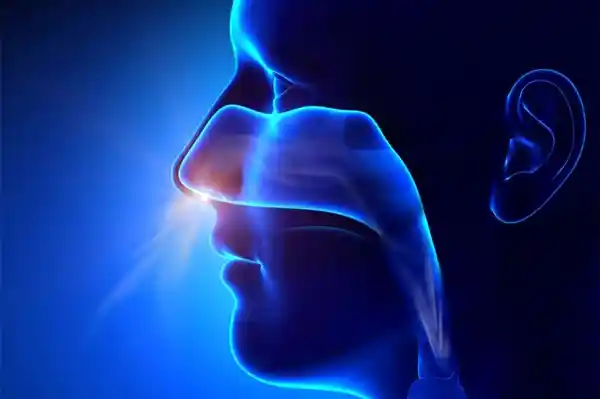 朱迅景区勇救游客，网友狂赞：这才是真正的主持人！