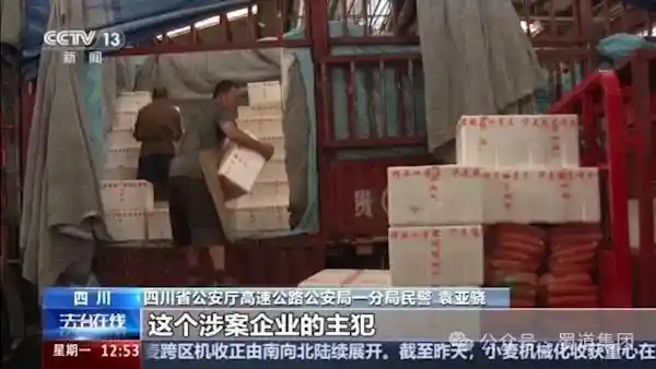 揭秘绿通车惊天骗局：百万巨额逃费背后的蔬菜伪装术