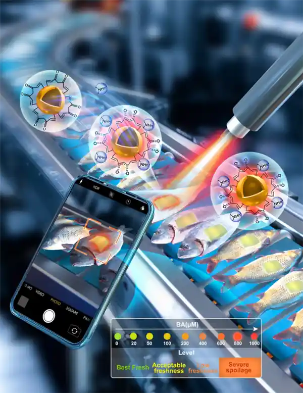 黑科技贴片：一贴即知食品新鲜度，还能循环使用！