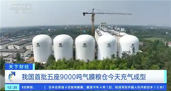 单座储粮可供2300万人吃一天！我国首建9000吨气膜粮仓震撼亮相