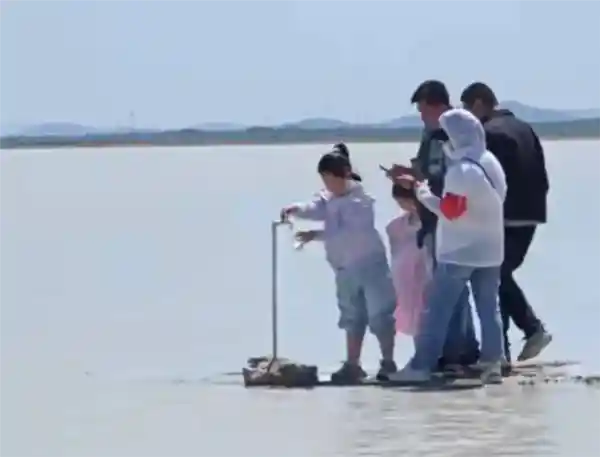 牛奶湖现排队奇观！游客争相饮用湖水引热议，官方澄清：放心喝，是真牛奶