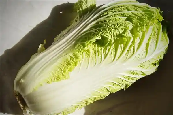 《2025白菜风云再起？韩国金菜危机警报拉响》