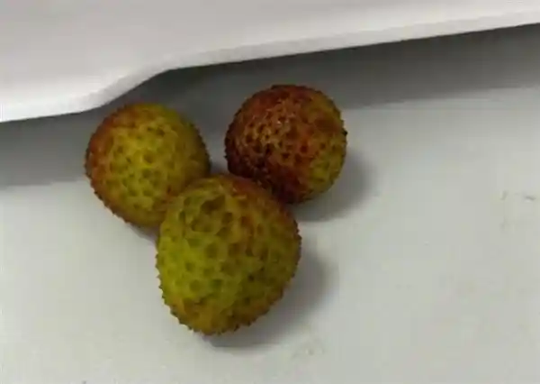 《荔枝价腰斩！产量飙升叠加物流红利》