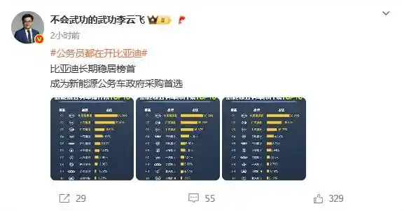 比亚迪领跑新能源公务车采购榜，公务员都开啥车？TOP10名单曝光！