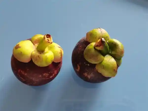 高价高热量，营养价值却一般？这种水果劝你别乱买！