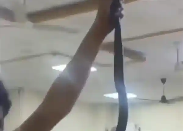 男子被毒蛇咬伤竟带蛇同就医，惊险一幕捡回一命