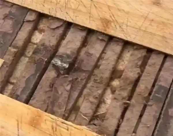 《惊！女子切开用了多年的菜板，内部早已悄悄发霉变质》